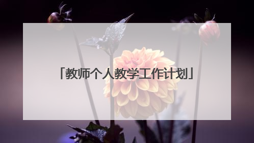 教师个人教学工作计划