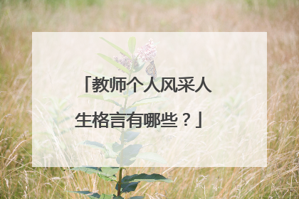 教师个人风采人生格言有哪些？