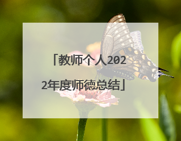教师个人2022年度师德总结