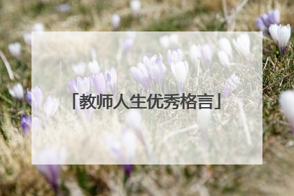 教师人生优秀格言