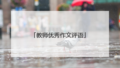 教师优秀作文评语