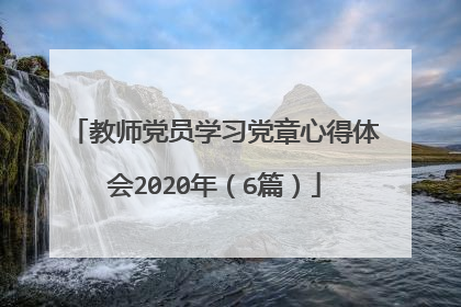 教师党员学习党章心得体会2020年(6篇)