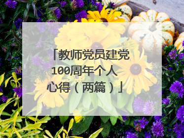 教师党员建党100周年个人心得(两篇)
