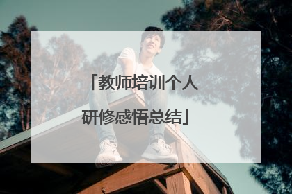 教师培训个人研修感悟总结