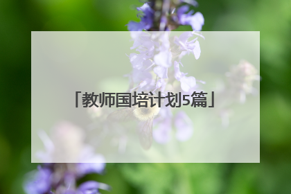 教师国培计划5篇