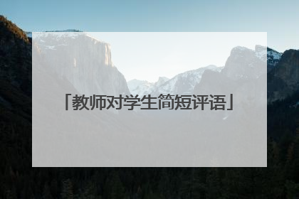 教师对学生简短评语