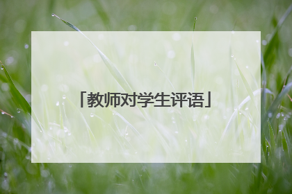 教师对学生评语