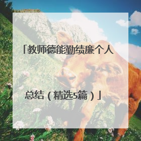 教师德能勤绩廉个人总结（精选5篇）