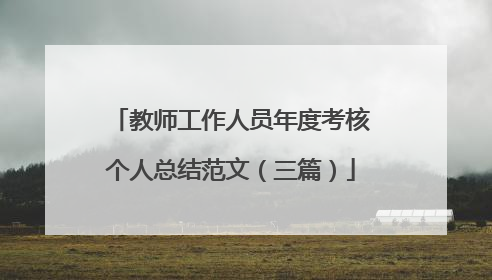 教师工作人员年度考核个人总结范文（三篇）