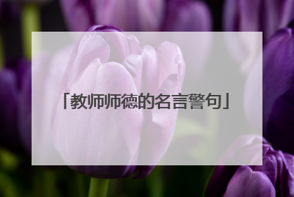 教师师德的名言警句