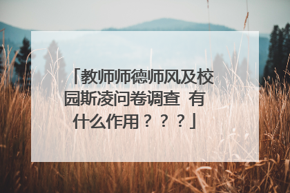 教师师德师风及校园斯凌问卷调查 有什么作用???