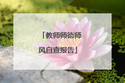 教师师德师风自查报告