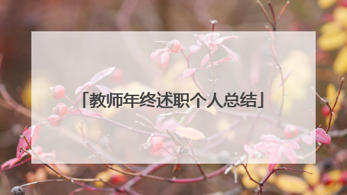 教师年终述职个人总结