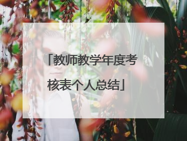 教师教学年度考核表个人总结