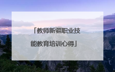 教师新疆职业技能教育培训心得