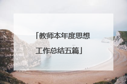 教师本年度思想工作总结五篇