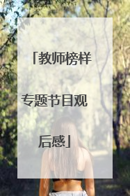 教师榜样专题节目观后感
