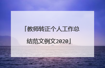 教师转正个人工作总结范文例文2020