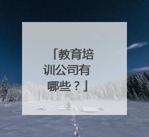 教育培训公司有哪些？