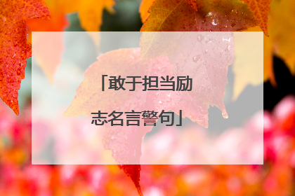 敢于担当励志名言警句