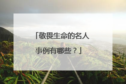 敬畏生命的名人事例有哪些？