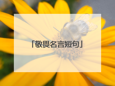 敬畏名言短句
