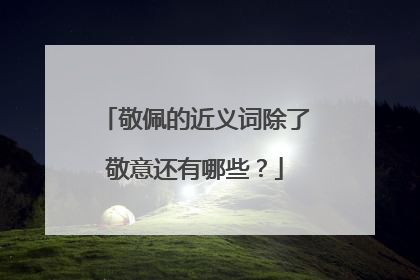 敬佩的近义词除了敬意还有哪些？