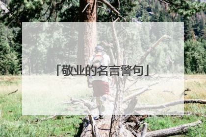 敬业的名言警句