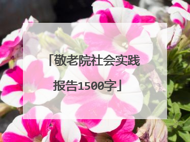 敬老院社会实践报告1500字