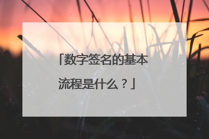 数字签名的基本流程是什么?