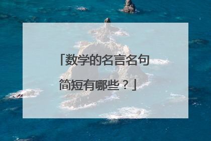 数学的名言名句简短有哪些？