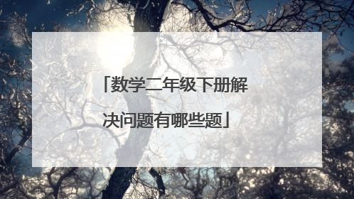 数学二年级下册解决问题有哪些题