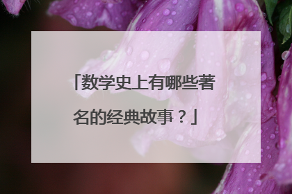 数学史上有哪些著名的经典故事?