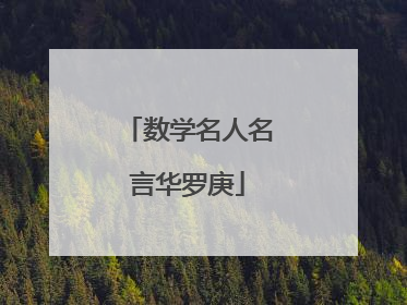 数学名人名言华罗庚