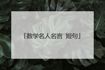 数学名人名言 短句