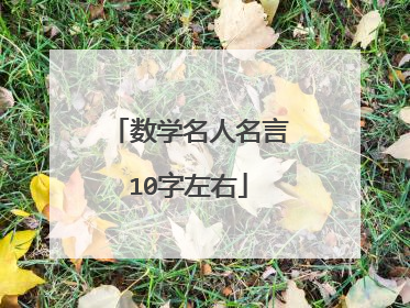 数学名人名言10字左右