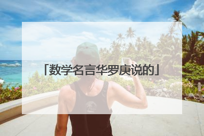 数学名言华罗庚说的