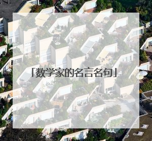 数学家的名言名句