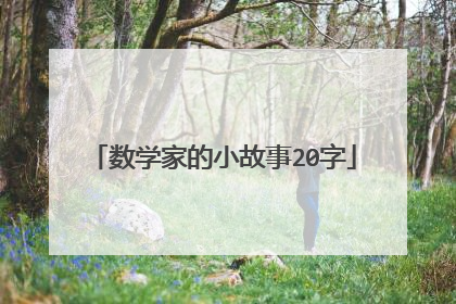 数学家的小故事20字