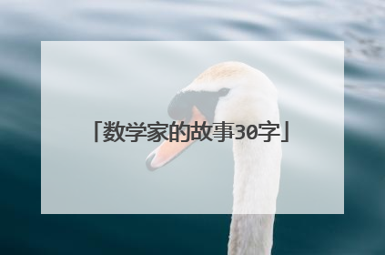 数学家的故事30字