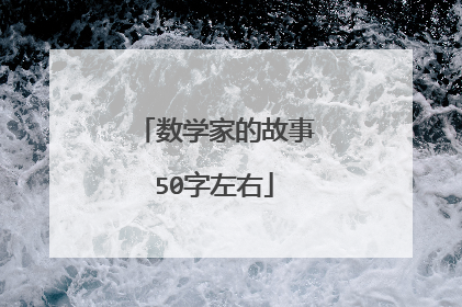 数学家的故事50字左右