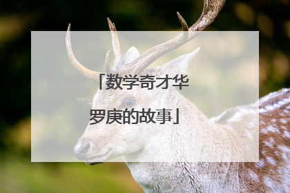 数学奇才华罗庚的故事