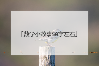 数学小故事50字左右