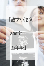 数学小论文800字  五年级