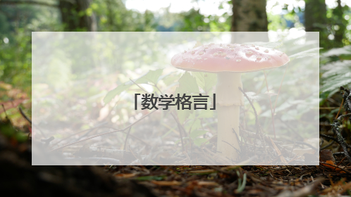 数学格言