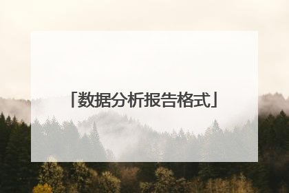数据分析报告格式