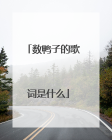 数鸭子的歌词是什么