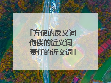 方便的反义词  佝偻的近义词  责任的近义词