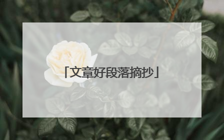 文章好段落摘抄