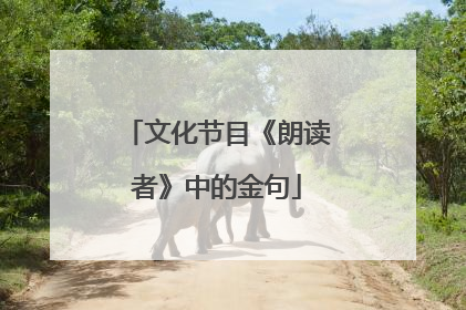 文化节目《朗读者》中的金句